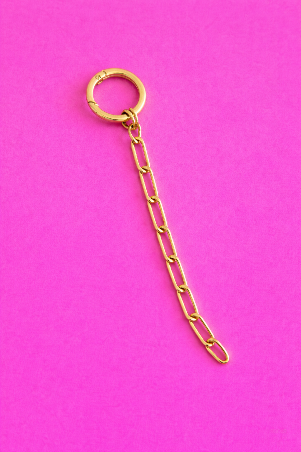Circle Key Ring + Chain