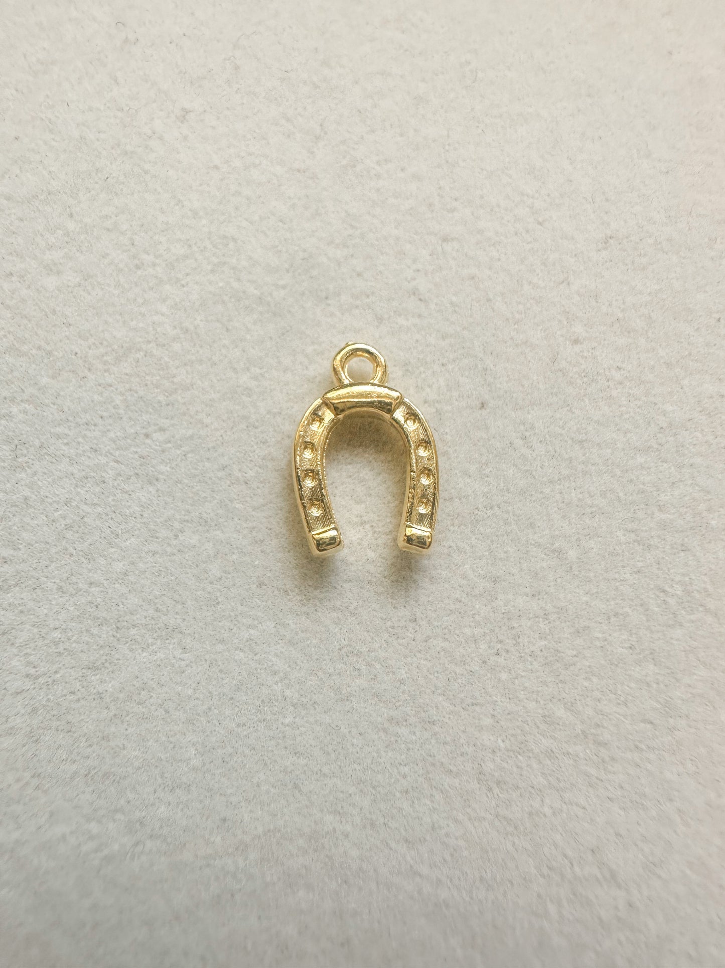 Horseshoe Charm